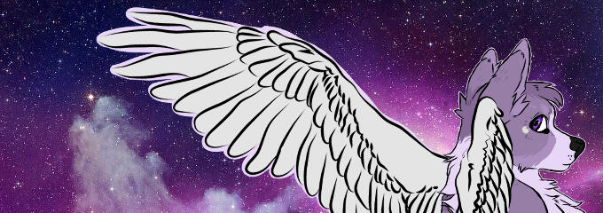 Colored Banner ($30)